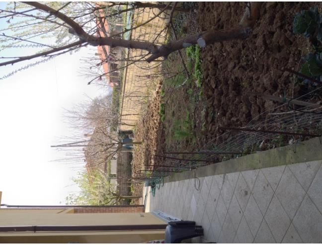 Anteprima foto 6 - Villetta a schiera in Vendita a Castiglione in Teverina - Vaiano