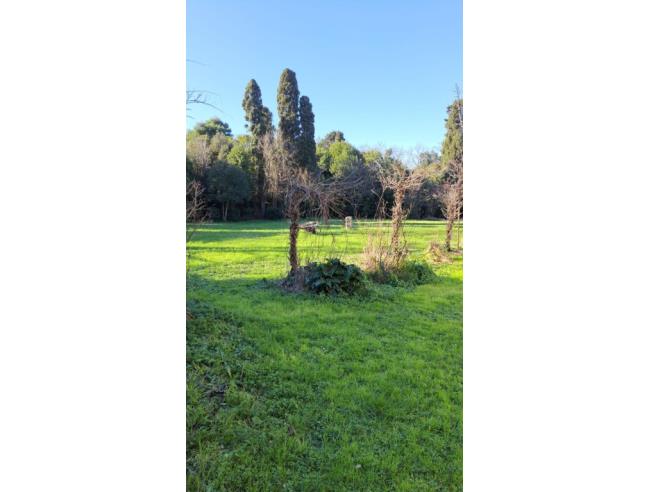 Anteprima foto 5 - Villetta a schiera in Vendita a Collesalvetti (Livorno)