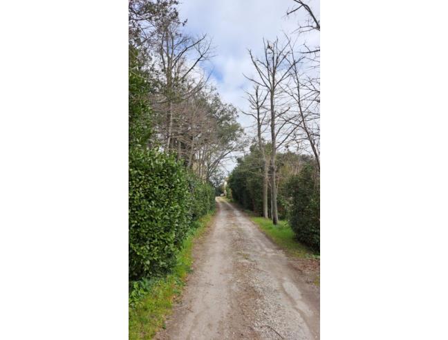 Anteprima foto 6 - Villetta a schiera in Vendita a Collesalvetti (Livorno)