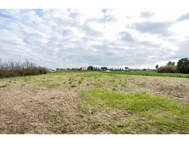 Anteprima foto 7 - Villetta a schiera in Vendita a Collesalvetti (Livorno)