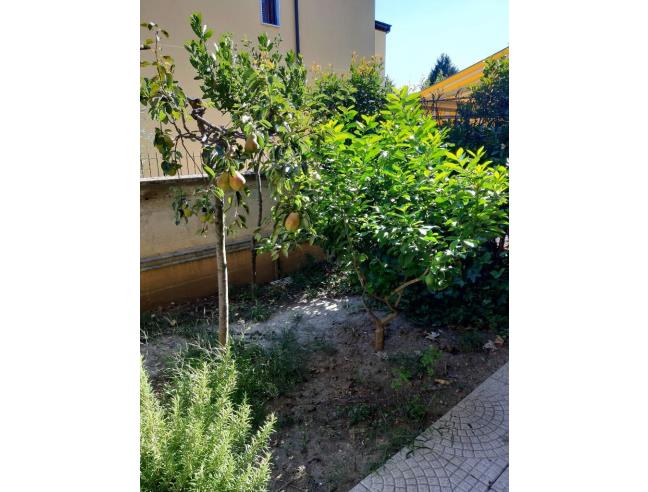 Anteprima foto 5 - Villetta a schiera in Vendita a Cologno Monzese (Milano)