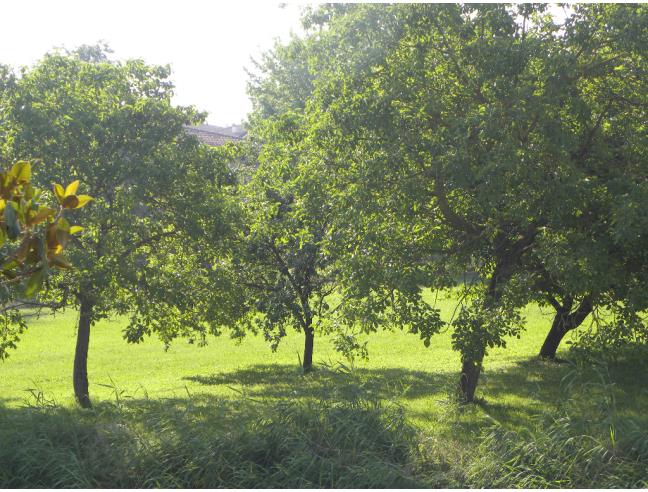 Anteprima foto 7 - Villetta a schiera in Vendita a Copparo (Ferrara)