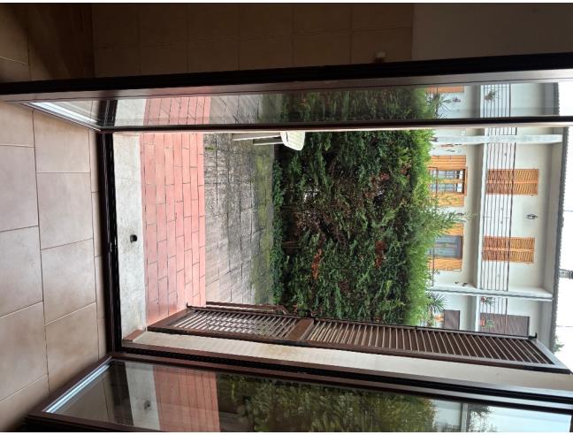 Anteprima foto 8 - Villetta a schiera in Vendita a Fidenza (Parma)
