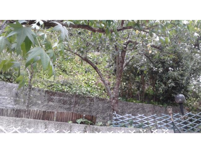 Anteprima foto 8 - Villetta a schiera in Vendita a Follo - Pian Di Follo