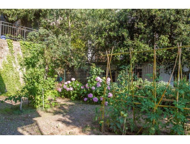 Anteprima foto 8 - Villetta a schiera in Vendita a Gavorrano (Grosseto)