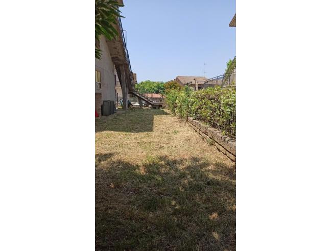 Anteprima foto 4 - Villetta a schiera in Vendita a Latera (Viterbo)