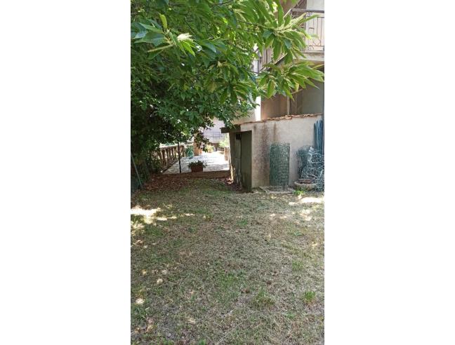 Anteprima foto 6 - Villetta a schiera in Vendita a Latera (Viterbo)