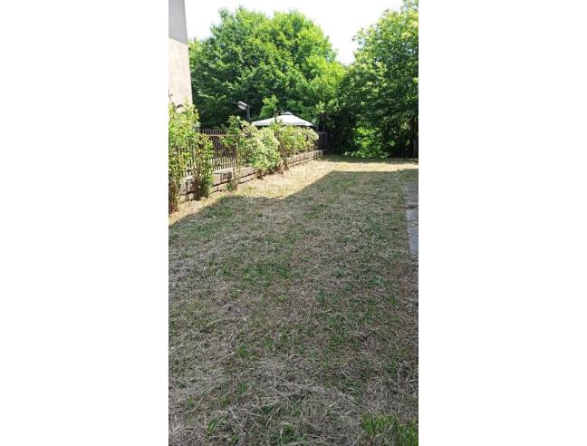 Anteprima foto 7 - Villetta a schiera in Vendita a Latera (Viterbo)