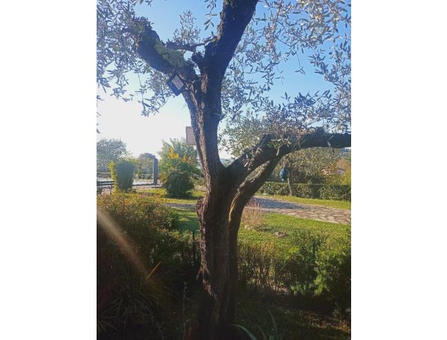 Anteprima foto 3 - Villetta a schiera in Vendita a Lerici - Pugliola