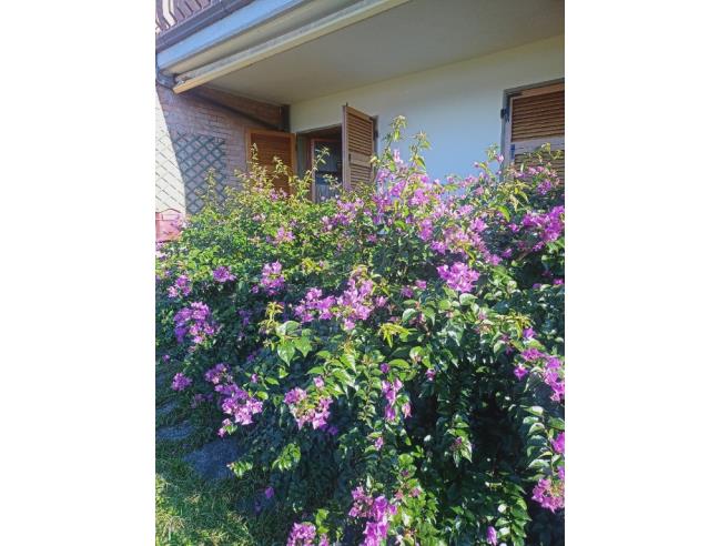 Anteprima foto 4 - Villetta a schiera in Vendita a Lerici - Pugliola