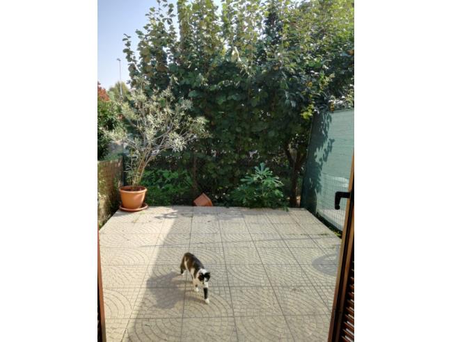 Anteprima foto 3 - Villetta a schiera in Vendita a Lurano (Bergamo)