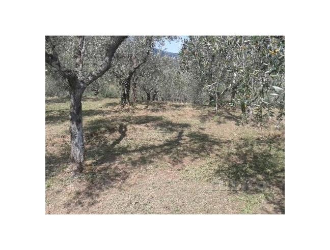 Anteprima foto 7 - Villetta a schiera in Vendita a Massarosa - Quiesa