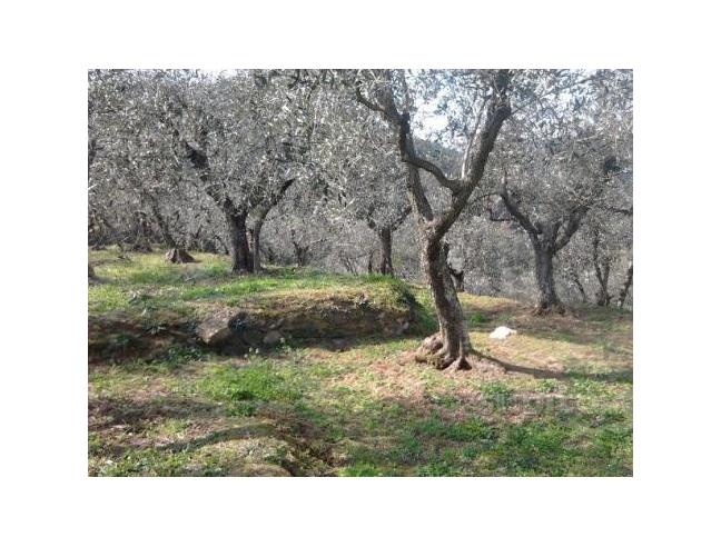 Anteprima foto 8 - Villetta a schiera in Vendita a Massarosa - Quiesa