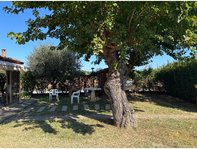 Anteprima foto 7 - Villetta a schiera in Vendita a Mondolfo - Marotta
