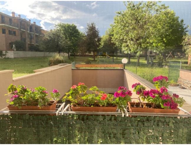 Anteprima foto 8 - Villetta a schiera in Vendita a Mondolfo - Marotta