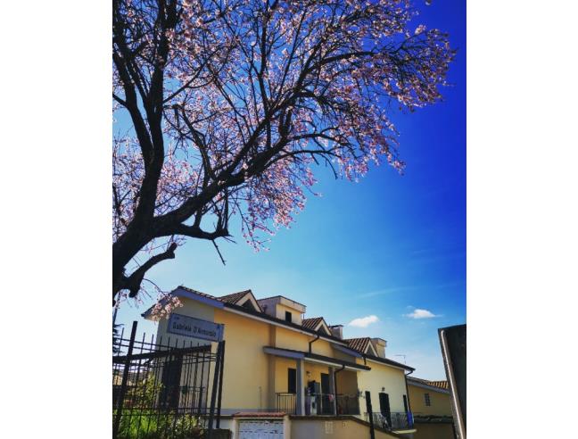 Anteprima foto 8 - Villetta a schiera in Vendita a Morlupo - Morlupo Stazione