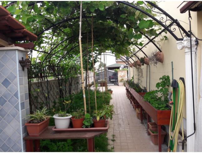 Anteprima foto 7 - Villetta a schiera in Vendita a Nettuno - Sandaldi Ponente