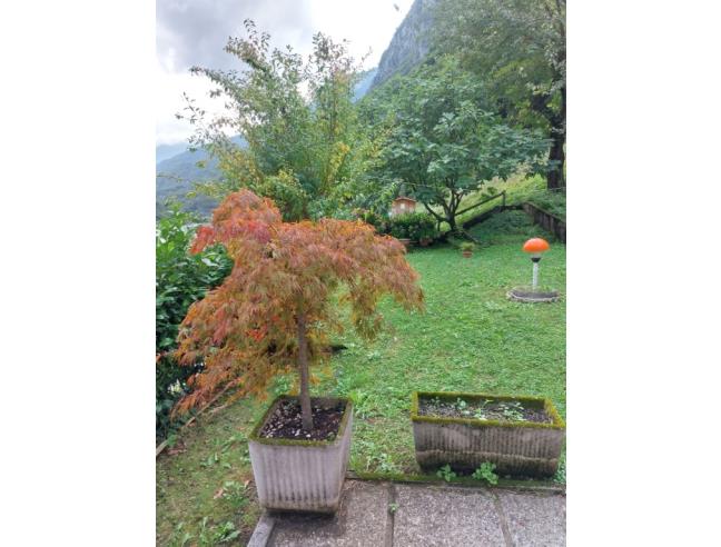 Anteprima foto 5 - Villetta a schiera in Vendita a Ospitale di Cadore (Belluno)