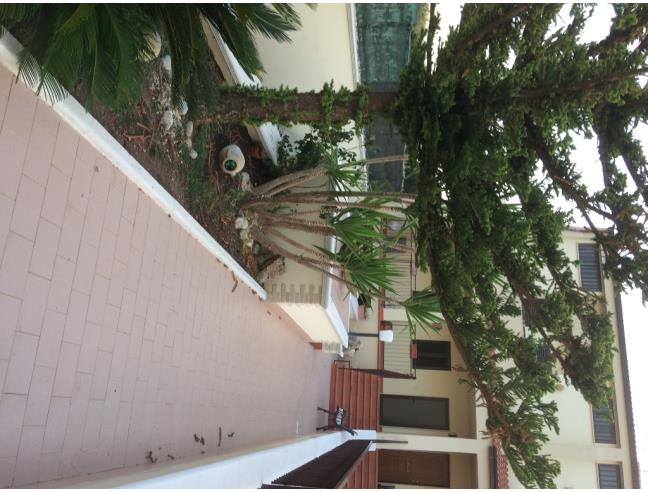 Anteprima foto 2 - Villetta a schiera in Vendita a Pisticci - Marconia