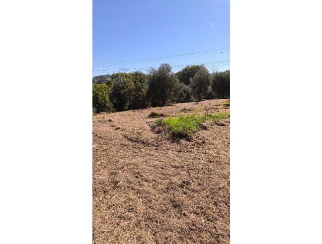 Anteprima foto 4 - Villetta a schiera in Vendita a Poggio Mirteto - Poggio Mirteto Scalo