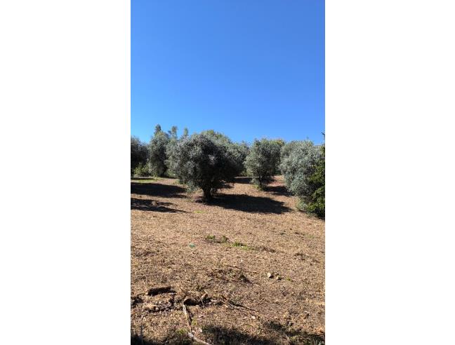 Anteprima foto 7 - Villetta a schiera in Vendita a Poggio Mirteto - Poggio Mirteto Scalo