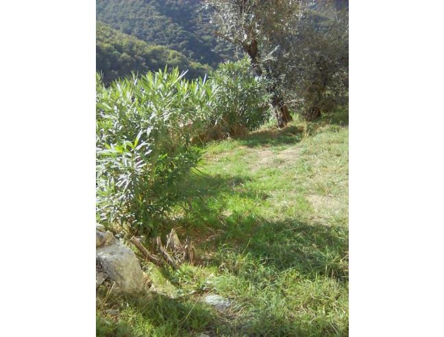 Anteprima foto 4 - Villetta a schiera in Vendita a Rapallo - Sant'Andrea Di Foggia