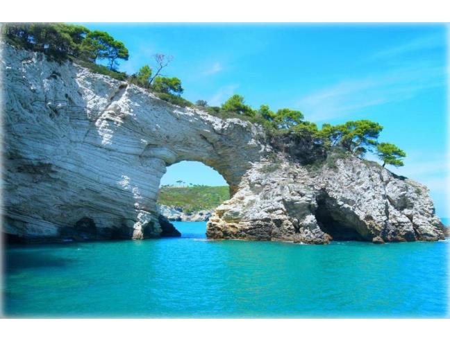 Anteprima foto 7 - Villetta a schiera in Vendita a Rodi Garganico (Foggia)