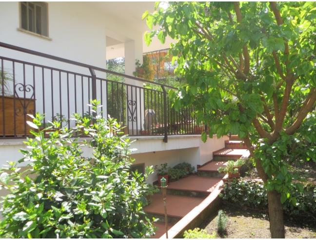 Anteprima foto 5 - Villetta a schiera in Vendita a San Fili (Cosenza)