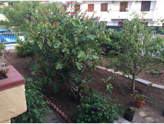 Anteprima foto 3 - Villetta a schiera in Vendita a Scalea (Cosenza)