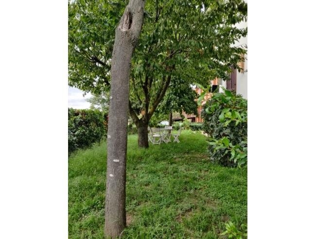 Anteprima foto 3 - Villetta a schiera in Vendita a Secugnago (Lodi)