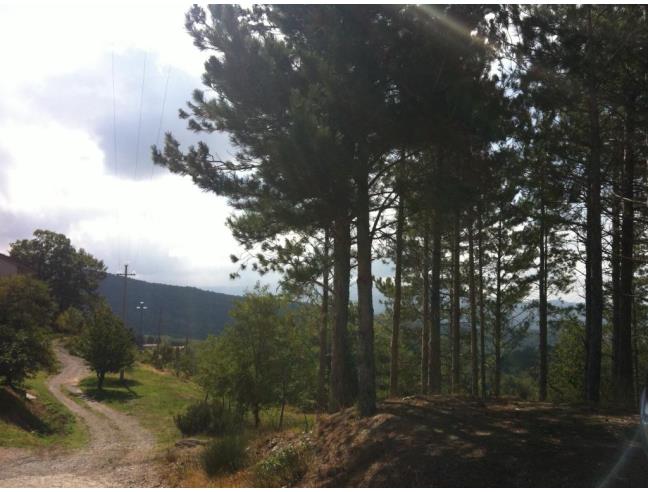 Anteprima foto 3 - Villetta a schiera in Vendita a Seggiano - Trefonti