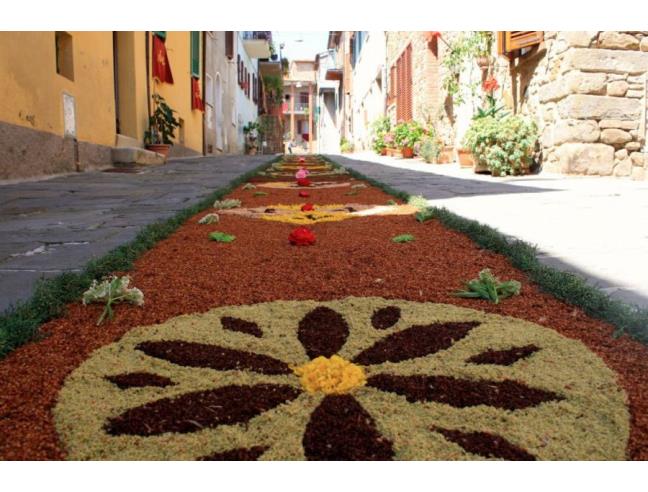 Anteprima foto 4 - Villetta a schiera in Vendita a Sinalunga - Farnetella