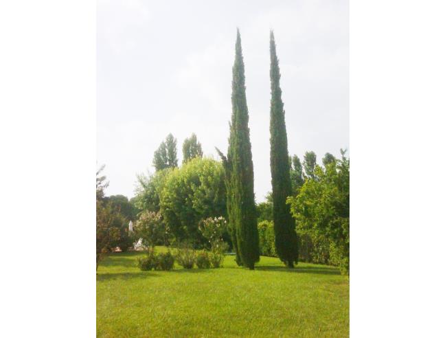 Anteprima foto 3 - Villetta a schiera in Vendita a Soiano del Lago (Brescia)