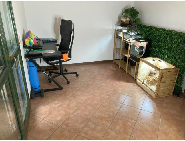 Anteprima foto 6 - Villetta a schiera in Vendita a Villanova del Sillaro - San Tommaso